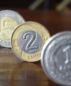 Agencja Moody's podnosi prognozy dla Polski i umacnia naszą walutę