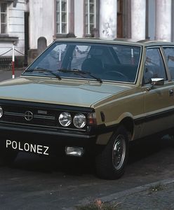 Jedziesz oglądać piramidy, a tam Polonez. Polskie auto w Egipcie?