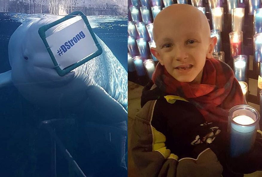 Internauci spełniają ostatnie życzenie umierającego 8-latka