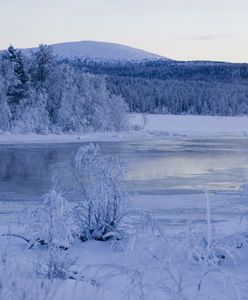 Pogoda w Laponii szaleje. W ciągu doby temperatura wzrosła o 40 stopni