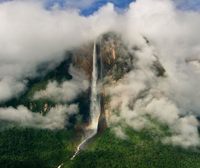 "Siedem światów, jedna planeta": Wzruszająca opowieść o partnerstwie małych... drzewołazów