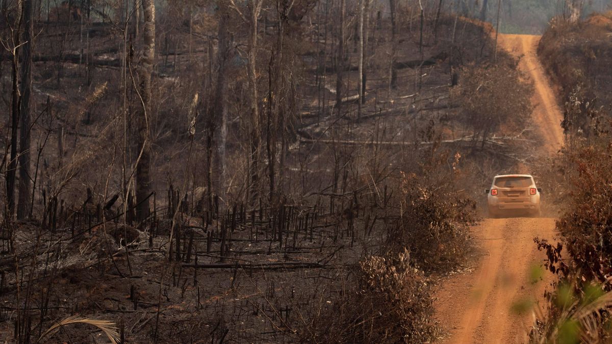 Amazonia i Afryka Środkowa w ogniu. Na zdj. widok strefy leśnej Amazonii zniszczonej przez pożary w stanie Rondonia, Brazylia (25.08.19 r.)