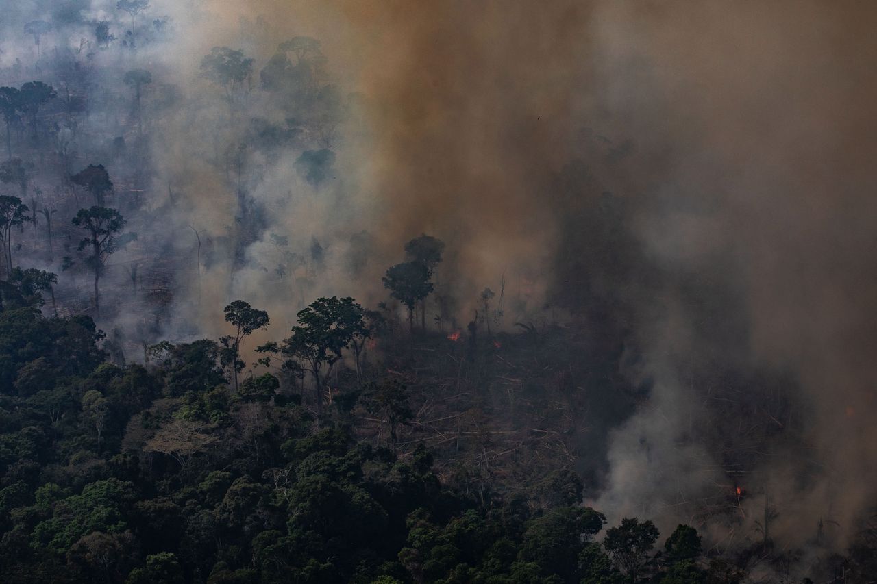 Amazonia. Nie dzieje się dobrze, ale trzymajmy się faktów. Oto 5 szkodliwych mitów