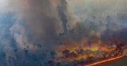 Amazonia nadal w ogniu. Wybuchło 2 tysiące nowych pożarów