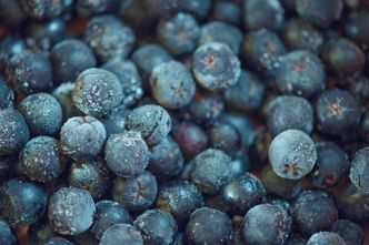 Polska potęgą w uprawie aronii. 2/3 światowej produkcji