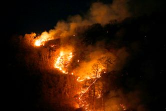 Amazonia. Ogromne pożary trawią puszczę tropikalną. "Ratujcie płuca świata!"