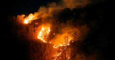 Amazonia. Ogromne pożary trawią puszczę tropikalną. "Ratujcie płuca świata!"