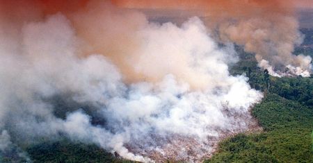 Amazonia płonie. "Biznes zwycięża. To punkt krytyczny zmian klimatycznych"