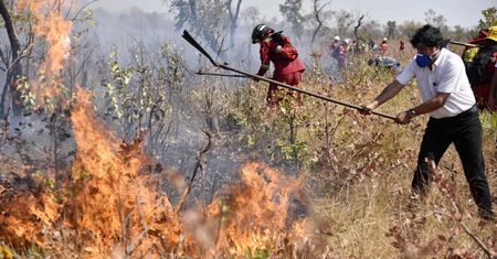 Amazonia. Boliwa dostanie pomoc ze strony Unii Europejskiej
