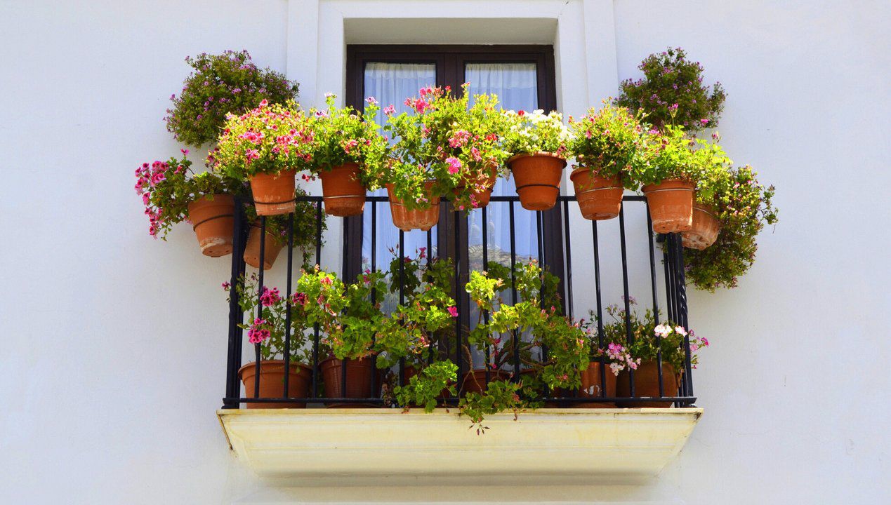 Czy za balkon obsadzony kwiatami można dostać mandat? Lepiej miej się na baczności