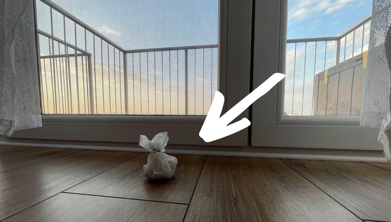 Zostawiam w pobliżu okna, a mrówki w popłochu uciekają z balkonu!