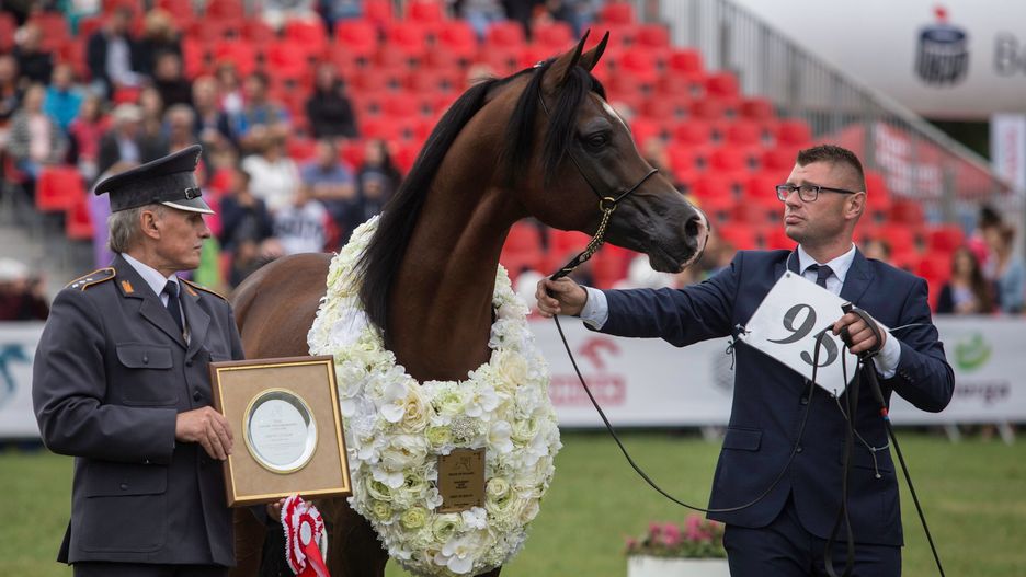 Podczas edycji w 2017 r. sprzedano jedynie sześc koni