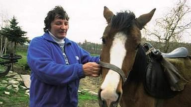 Biegły konie po betonie