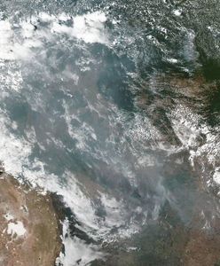 Bezprecedensowe pożary lasów od Amazonii po Arktykę. A to dopiero początek