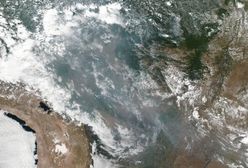 Bezprecedensowe pożary lasów od Amazonii po Arktykę. A to dopiero początek