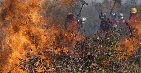 Amazonia. Jair Bolsonaro rozmawiał z Angelą Merkel o pożarach lasów w Amazonii