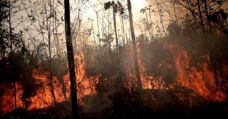 Amazonia. Pożary lasów nie pozbawią nas tlenu. Naukowcy tłumaczą dlaczego