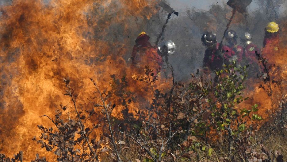 Amazonia. Pożary lasów Amazonii, strażacy walczą z ogniem w Brazylii i Boliwii