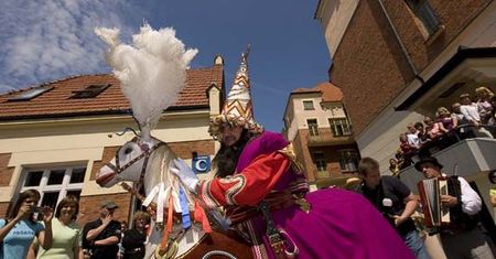 Zobacz jak lajkonik harcuje po ulicach Krakowa