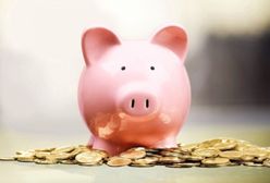 Leszno. Opiekunka kradła pieniądze ze skarbonek dzieci