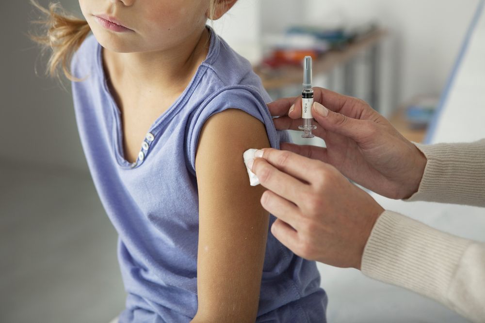Czy grozi nam epidemia Odry? Ognisko choroby pod Warszawą