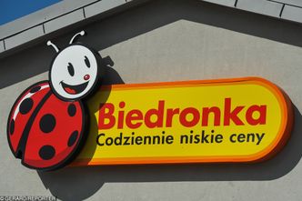 Dzień dziecka 2019 w sieci Biedronka. Specjalna oferta na zabawki dla najmłodszych