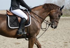Jeździectwo - co należy wiedzieć o jeździe konnej?