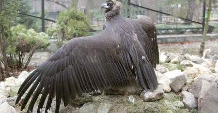 Nowi mieszkańcy krakowskiego zoo