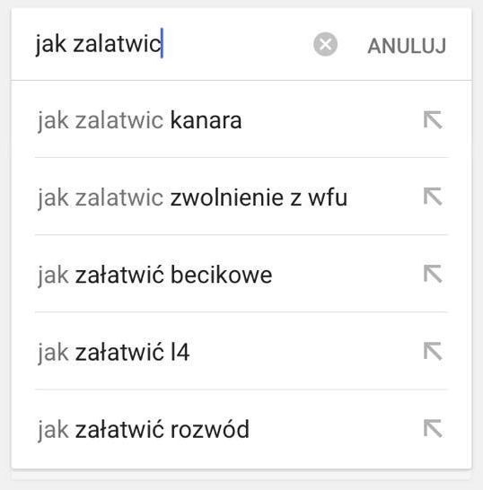 Jakie pytania z serii "jak to zrobić" zadajemy Google najczęściej w Polsce? Technologiczny gigant opublikował zaskakujący raport