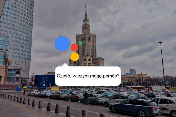 Asystent Google po polsku na coraz większej liczbie urządzeń. Jak włączyć i korzystać?