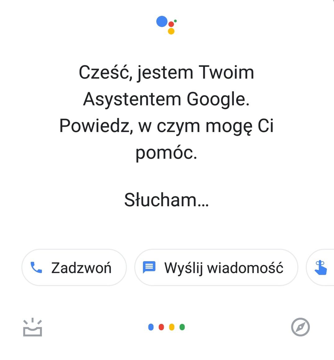 Asystent Google po polsku