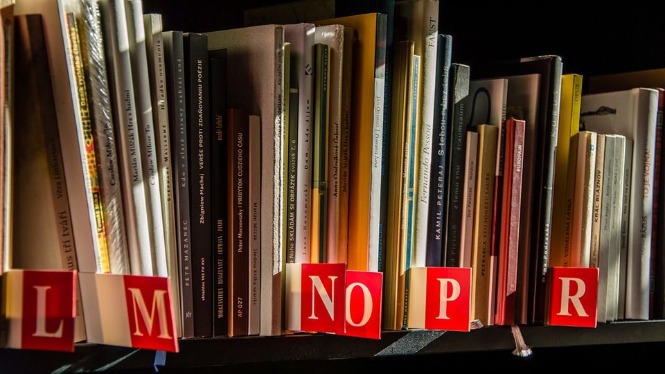 Czym zajmują się te kierunki studiów?