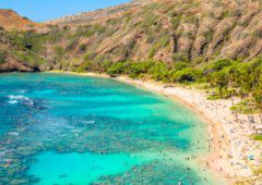 Hawaje - zapierający dech podwodny świat