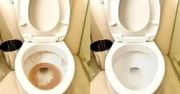 Ten domowy płyn do czyszczenia toalet to ekologiczny patent na zachowanie czystości i dezynfekcję
