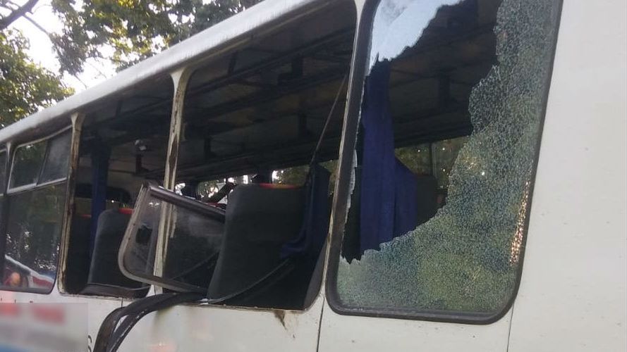 Jeleń wbiegł wprost pod szkolny autobus