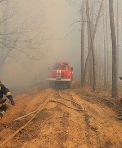 Pożary w Czarnobylu. Uspokajający komunikat dla Polski