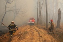Pożary w Czarnobylu. Uspokajający komunikat dla Polski