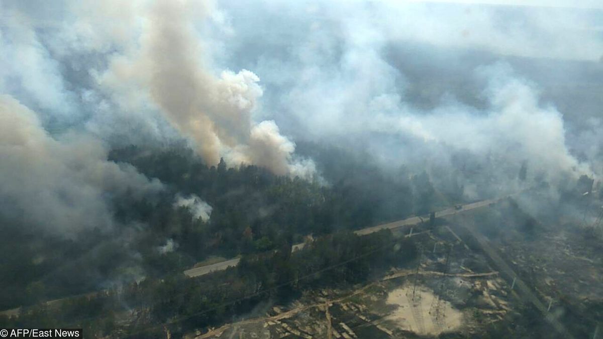Pożar w Czarnobylu. W zamkniętej strefie płonie 10 hektarów lasu, władze Ukrainy alarmują