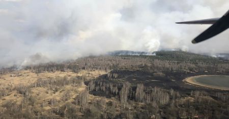 Pożar lasu w Czarnobylu. Zatrzymany wyjawił, dlaczego dokonał podpalenia