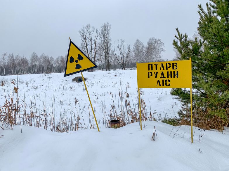Potężny pożar w Strefie Wykluczenia w Czarnobylu