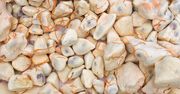 Baobab – afrykańskie "drzewo życia". Jakie właściwości mają owoce baobabu