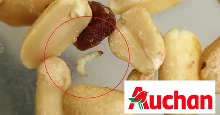 Robaki w orzechach z Auchan. Pani Anna nie mogła w to uwierzyć
