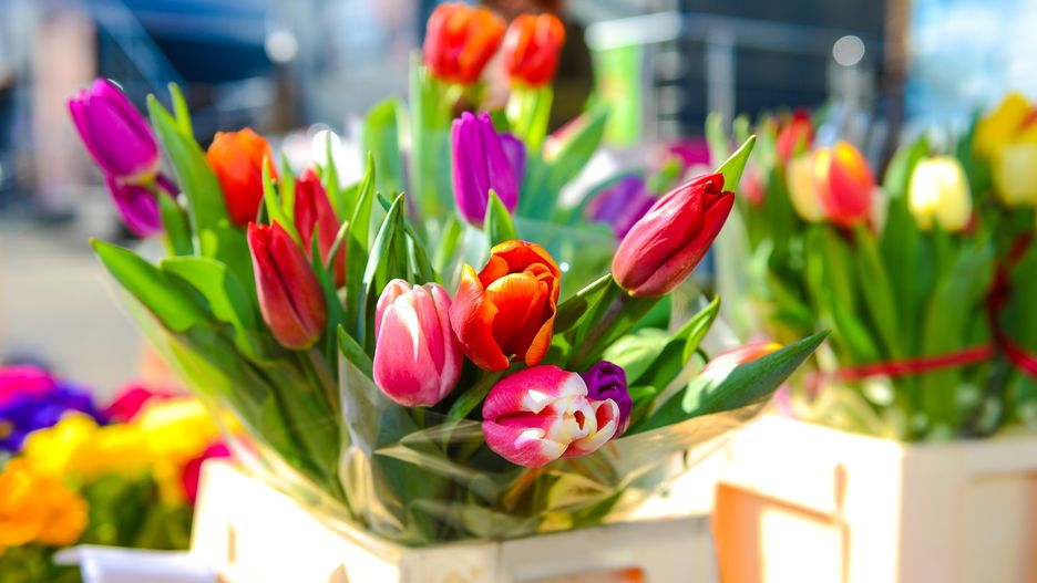 Życzenia na Dzień Kobiet 2019. Najpiękniejsze życzenia, wierszyki i rymowanki na 8 marca