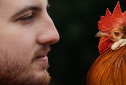 Jedni wolą psy, a Kamil kury. Wciąż marzy o tej idealnej