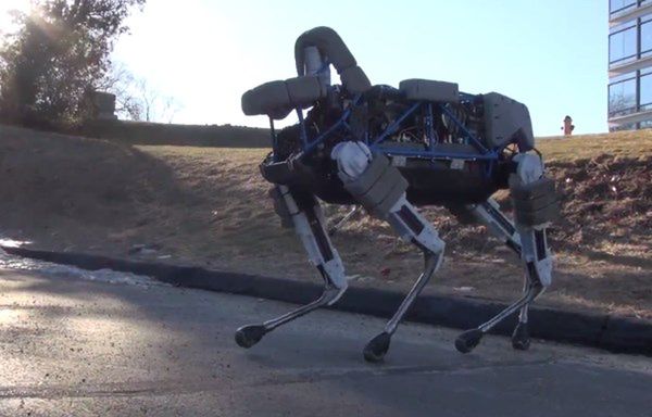 Spot - niezwykły robot, który poradzi sobie w każdych warunkach