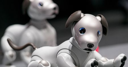 Nowy pies-robot od Sony na rynku – producent wprowadza kolejną wersję Aibo