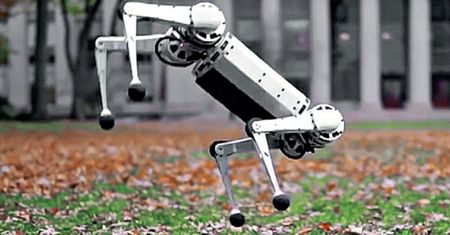 Mini Cheetah. Co potrafi robo-kot?