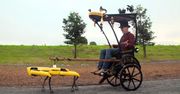 Dorożka na miarę XXI wieku. Porgromca Mitów zaprzęgł robota Spot od Boston Dynamics