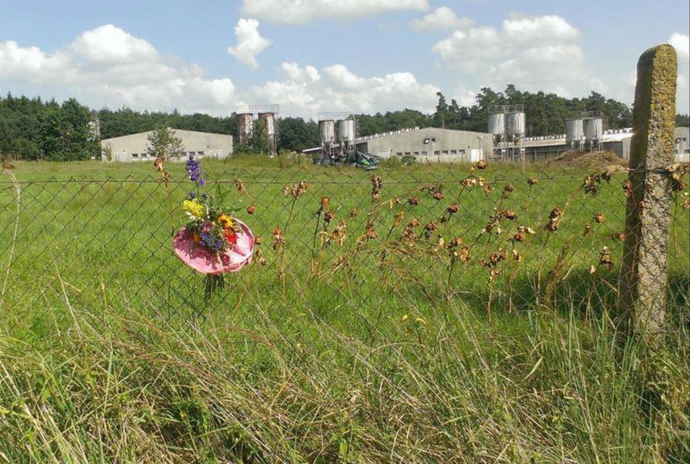 Koniec hańby po kilkudziesięciu latach. Farma świń zniknie z terenu byłego obozu koncentracyjnego