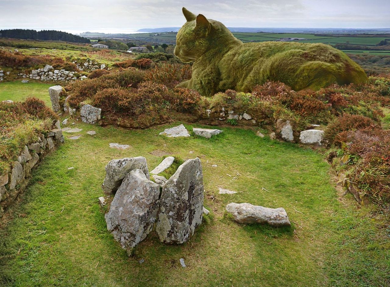 Jak sen na jawie. Oczy cię nie mylą